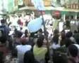 PARADA DOS BIXOS - UFRGS/2008