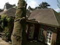 Tree Felling, Cheshire, England