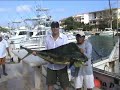 Deep Sea Fishing Mayan Riveria, Mexico 2008