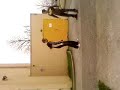 jumpstyle jumpstyle