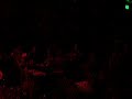 very be careful - song unknown