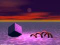 party-animals-i-wann