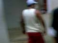 videos de oh porco pai