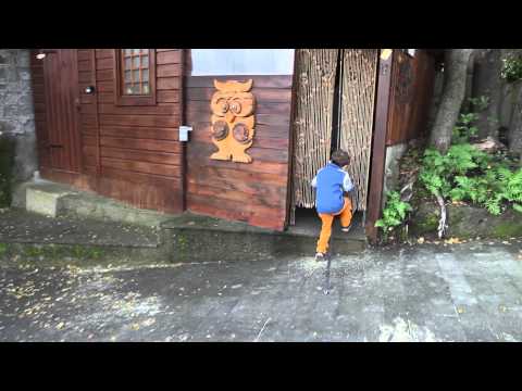 wooden pony torture