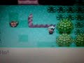 My Hacked Pokemon Game ( STARTERS )