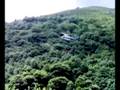brif de tineo