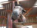 videos de l espoir_0008.wmv