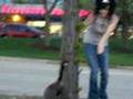 When Geese Attack