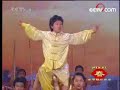wushu @ CCTV 2008 chinese new year Gala