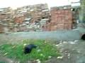 Picture 1763_Archos_.avi