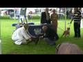 videos de Denagar Lord Achilles