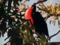 Belize - A great place on earth - Part 1