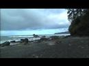 juan de Fuca trail 2008