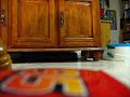 Lightning McQueen