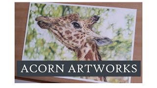 "Quick view" Giraffe in Coloured Pencil