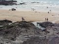 Treyarnon Beach Cornwall 2006