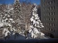 Jag är Herren, er Gud. - Ja se det snöar