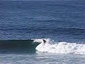 Surfers at Bulli