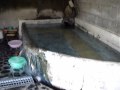 新春野湯三昧・2010年