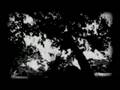 The most emo tastic video