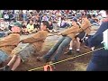 Tug of War: Antigonish North vs. Stewiacke Valley