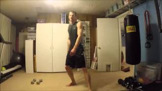 Kung Fu and Ladybugs