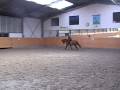 videos de carmina
