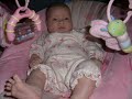 Piper months 1 - 3