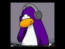 Dancing Penguin