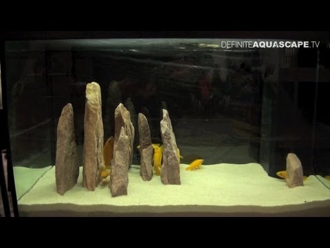 how to sink aquarium plants