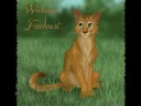 graypaw-ravenpaw-firepawwith-a-little-help-from-my-friends.html