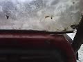 west hills riders-rhino goes through.AVI
