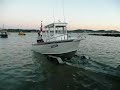 east coast pelagic fishing