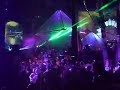Shambala 2008 Fractal Forest