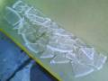 hielo