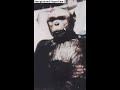 Humanzee? Humanzee?