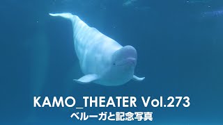 次の動画へ