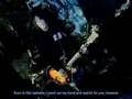 Plastic Tree - Sink (subbed) PV