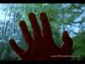 Parental Alienation and Hostile Aggressive Parenting