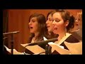 migration hymne  guest star cajus vom blumentopf 