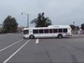 NFTA-METRO Buses