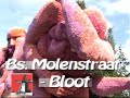 Bloemencorso Zundert 2007 Bloemencorso Zundert 2007