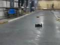 Indoor Nitro RC racing at Bisley