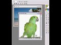 d�monstration du polygone avec photofiltre.