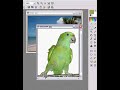 d�monstration du polygone avec photofiltre.