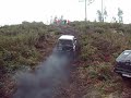 Facochero 2008