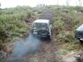 Facochero 2008