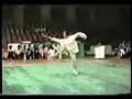 Competition Baguazhang