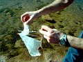 Catamarano in miniatura