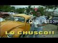 LO CHUSCO DEL CLUB VALLARTA VOLKS